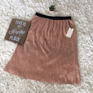 NWT Fun & Shimmery Skirt 💗